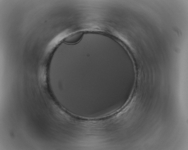 X0000113271455200910081350