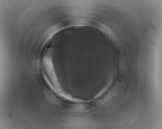 X0000113271457200910081350