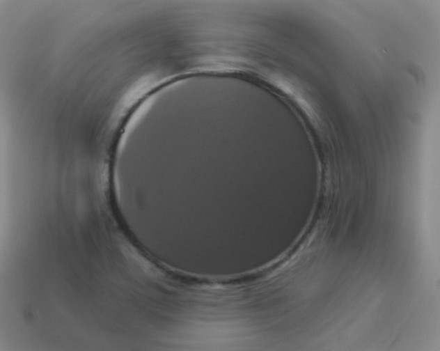 X0000113271459200910081350