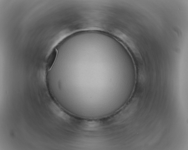 X0000113271460200910081350