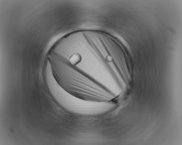 X0000113271461200910081350