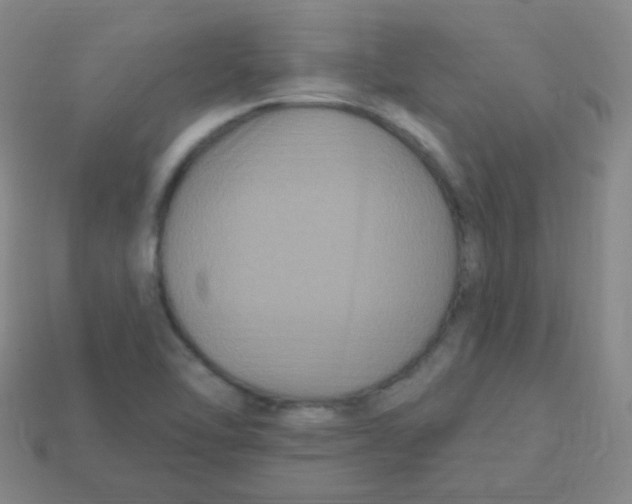 X0000113271462200910081350