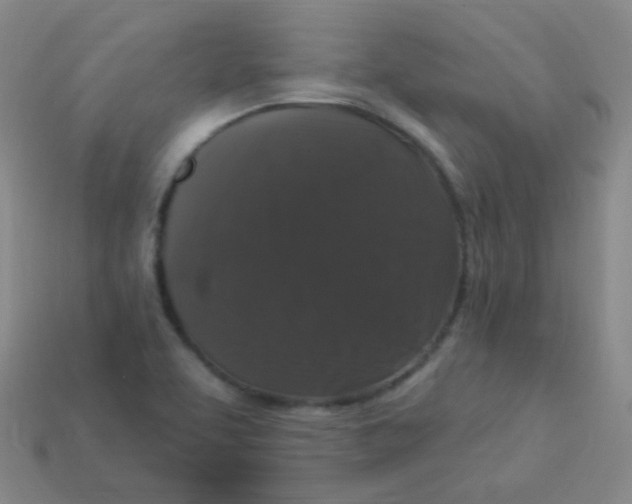 X0000113271463200910081350