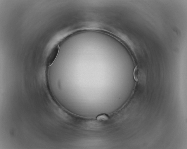 X0000113271464200910081350