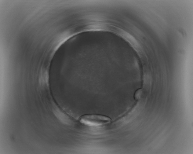 X0000113271465200910081350