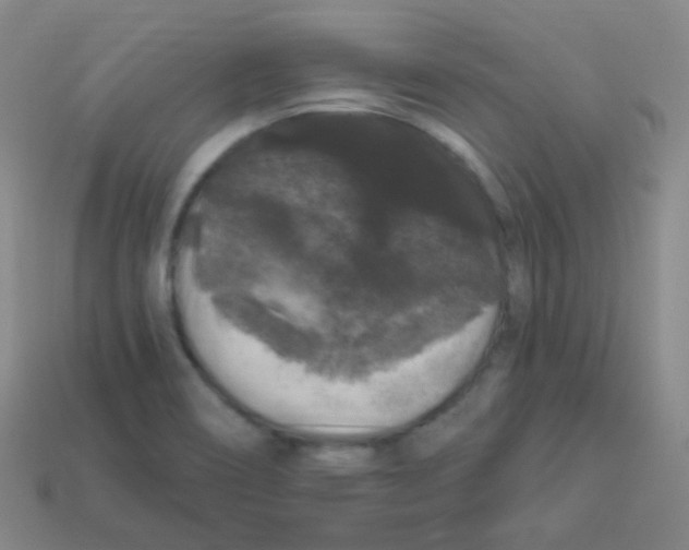 X0000113271466200910081350