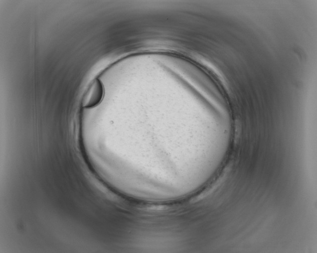 X0000113271467200910081350