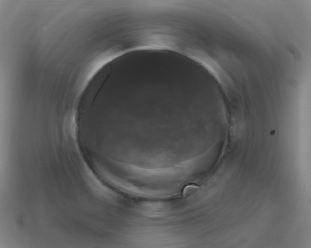 X0000113271468200910081350