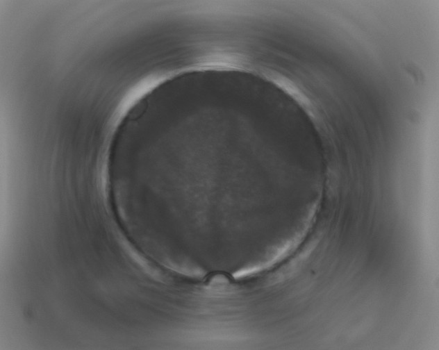 X0000113271469200910081350