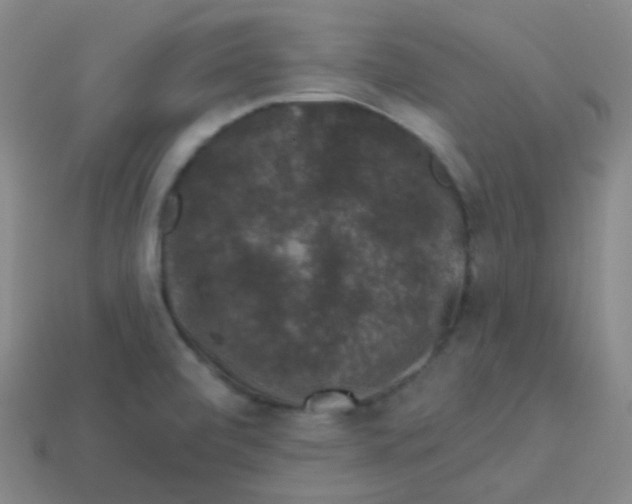 X0000113271472200910081350