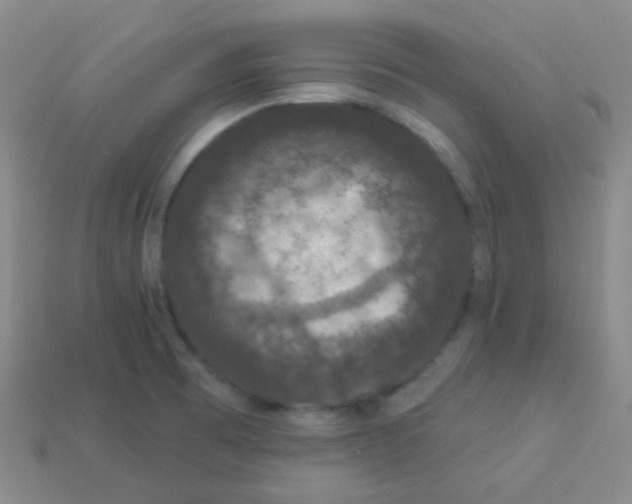 X0000113271473200910081350