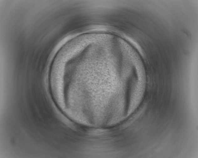 X0000113271475200910081350