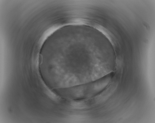 X0000113271477200910081350