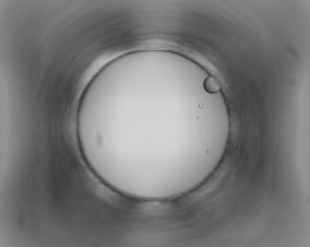 X0000113271478200910081350