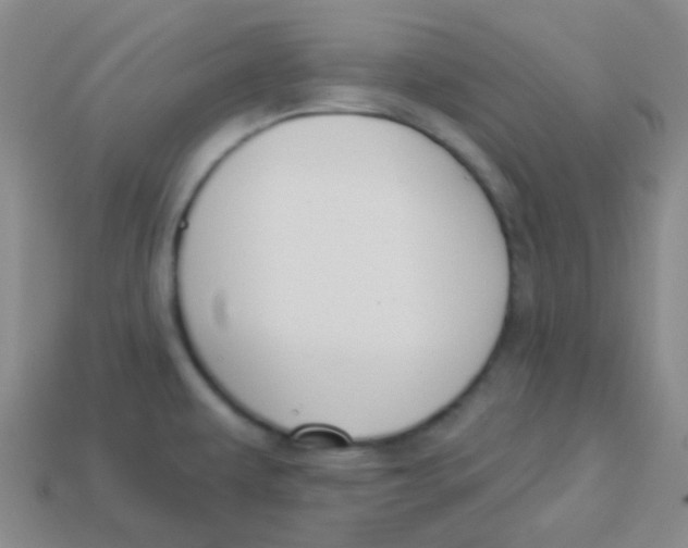 X0000113271479200910081350