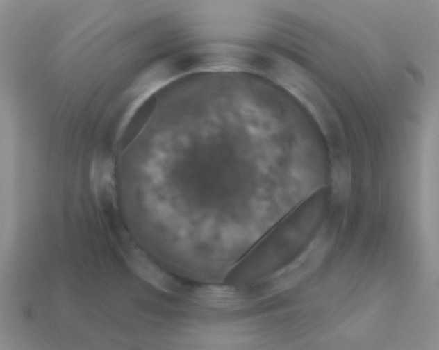 X0000113271481200910081350