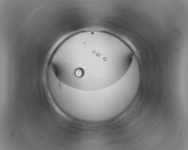 X0000113271484200910081350