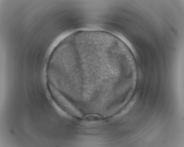 X0000113271485200910081350