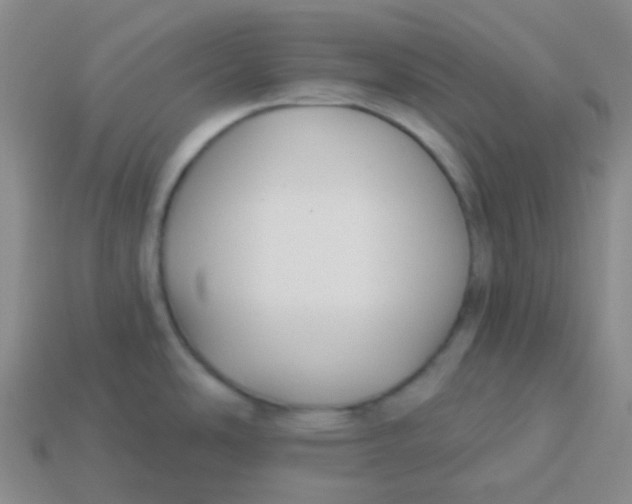 X0000113271486200910081350