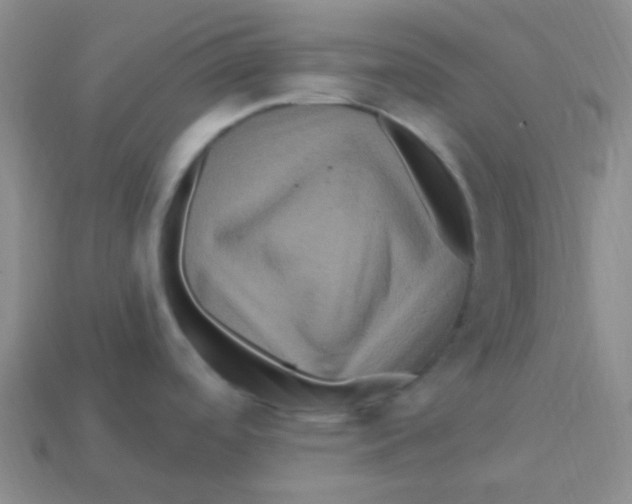 X0000113271488200910081350