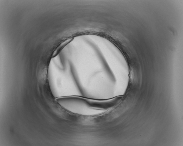 X0000113271492200910081349