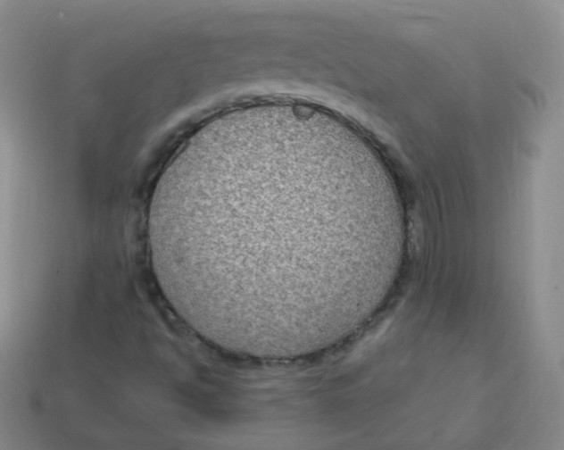 X0000113271494200910081349