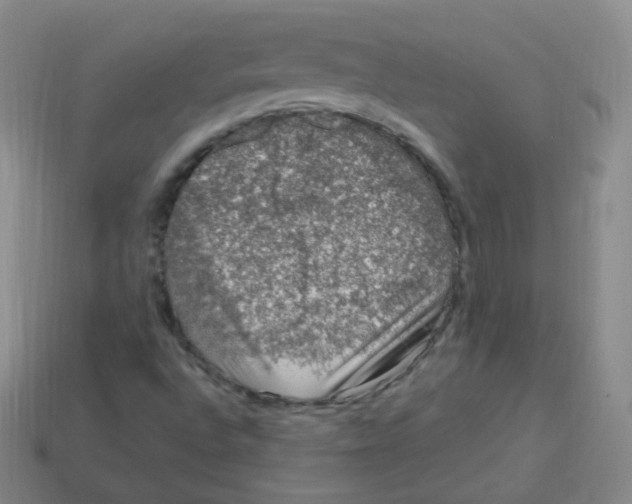 X0000113271496200910081349