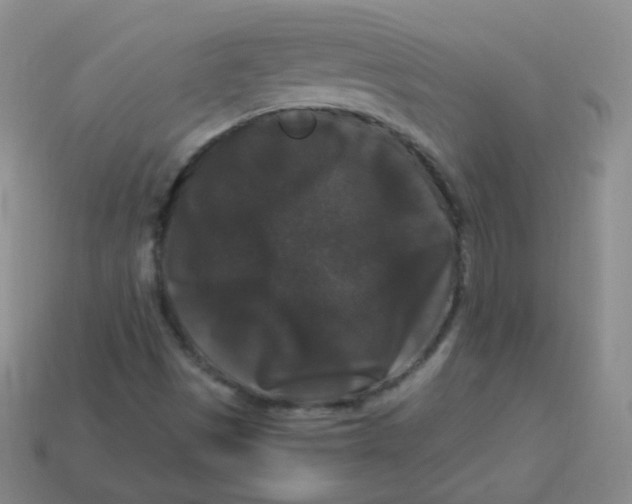 X0000113271497200910081349