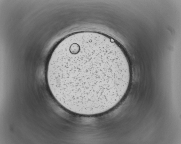 X0000113271498200910081349