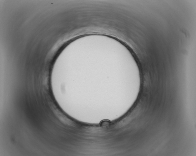 X0000113271499200910081349