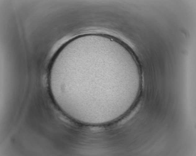 X0000113271501200910081349