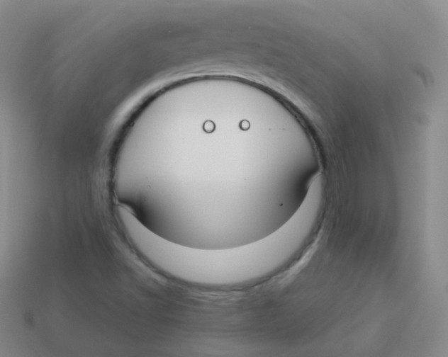 X0000113271502200910081349