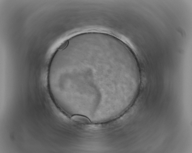 X0000113271504200910081349