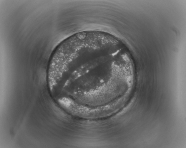 X0000113271505200910081349