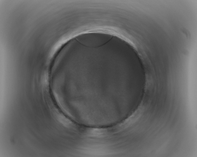 X0000113271506200910081349