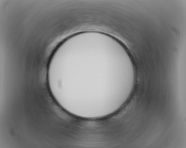 X0000113271507200910081349