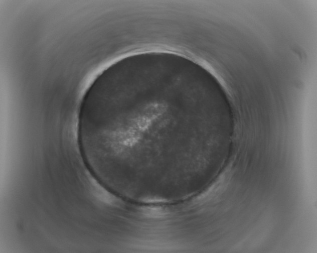 X0000113271508200910081349