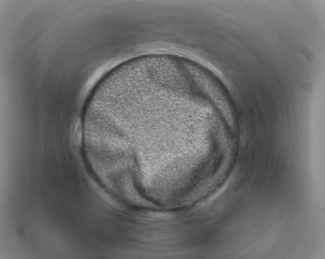 X0000113271509200910081349