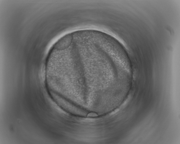 X0000113271510200910081349