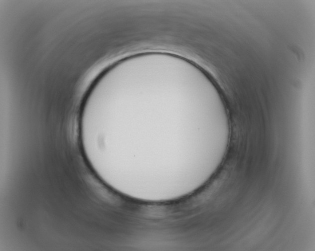 X0000113271511200910081349