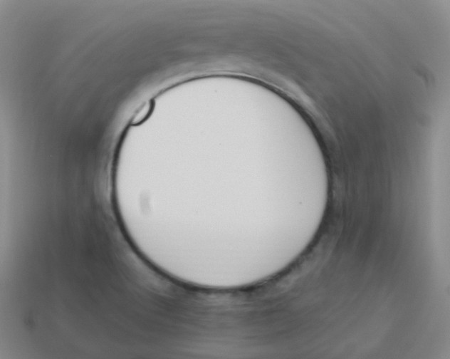 X0000113271512200910081349