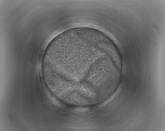 X0000113271513200910081349