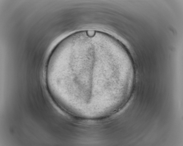 X0000113271517200910081349