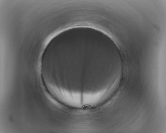 X0000113271519200910081349