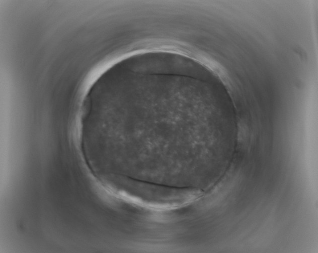 X0000113271520200910081349