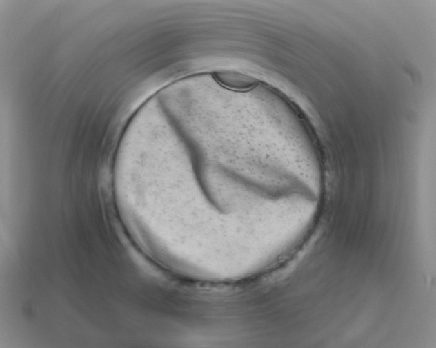 X0000113271521200910081349