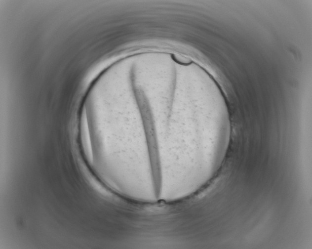 X0000113271523200910081349