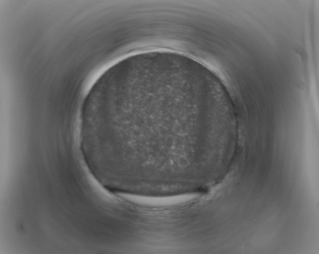 X0000113271524200910081350