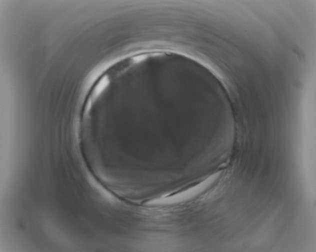 X0000113271527200910081350