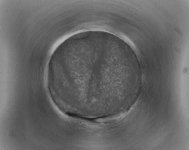 X0000113271528200910081350